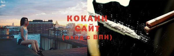 apvp Бородино