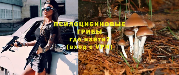 каннабис Богданович