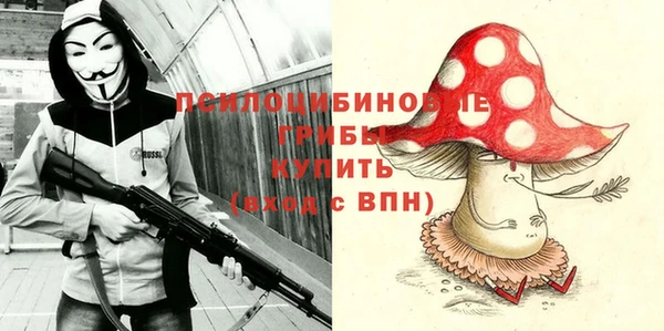 спиды Бронницы